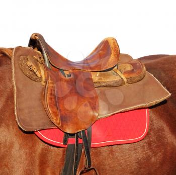 Ridding saddle on a brown horse taken closeup on white background.