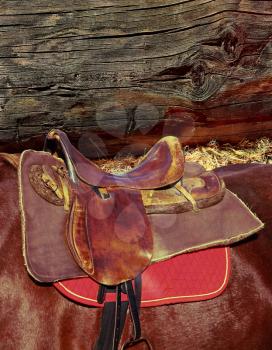 Brown horse ridding saddle on grunge log wall background.