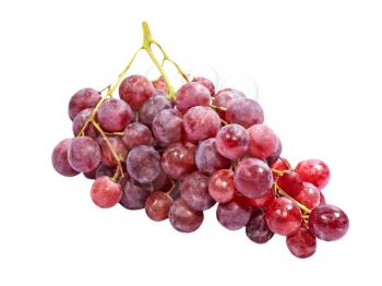 Fresh pink grape isolated on a white background. 