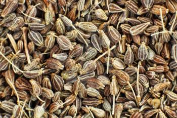 Dried anise seeds taken closeup suitable as food background.