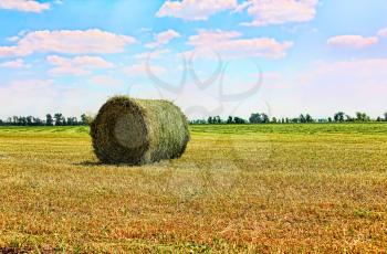 Golden stubble field and hay bale against azure cloudy sky.Toned image.