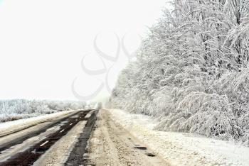 Picturesque Winter Landscape with road and snowy trees.