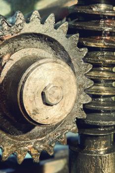 Gear wheel, cogs and screw of old machine taken close up.Toned image.