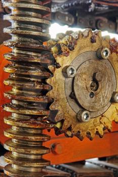 Gear wheel, cogs and screw of industry machine taken closeup.