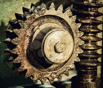 Gear wheel, cogs and screw of machine taken close up.Toned image.