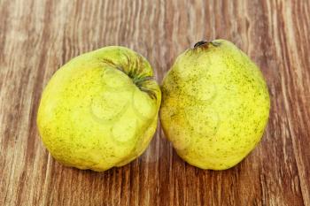 Two appetizing ripe quince on grunge wooden background taken closeup.