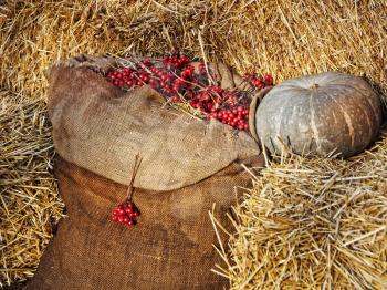 Thanksgiving Display.Pumpkin on hay stacks and burlap sack with red berries.Retro style toned image.