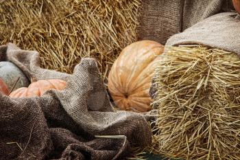 Thanksgiving Display.Pumpkins and Gourds among bale of straw and burlap sacks.Toned image.
