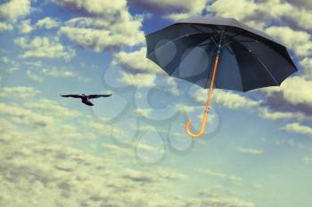 Mary Poppins Umbrella.Black umbrella flies in dramatic sky.Wind of change concept.