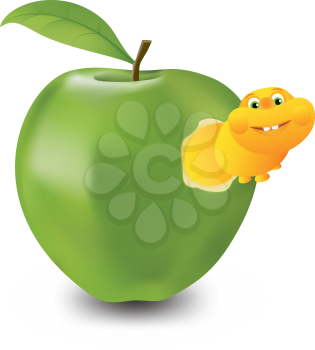 Worm in apple 