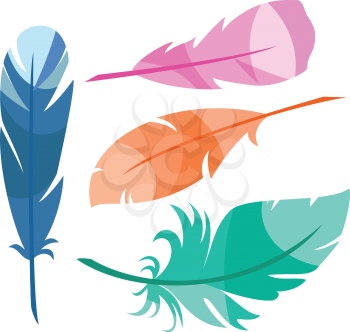 Vector Set of Stylized  Feathers