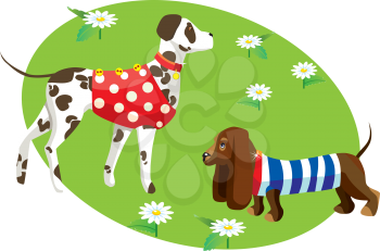  illustration with dogs in clothes (Dalmatian and dachshund)
