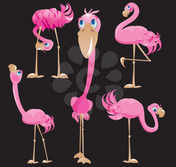 Flamingos cartoons.