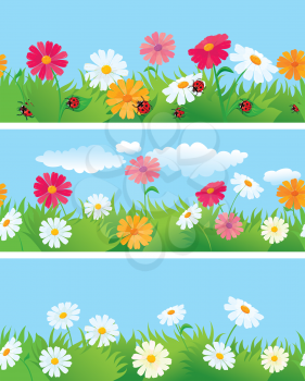 3 seamless borders with ox-eye daisy flowers and ladybirds