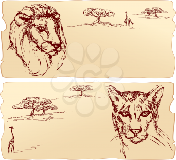 Lion and cheetah heads. Hand drawn ink portrait horizontal sketch.