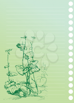 sketch of  burdock plant in artist`s notebook