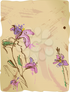 aquarelle sketch of iris flowers on old parchment with empty space for your text