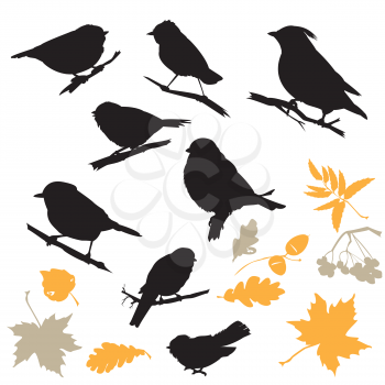 Birds and Plants Silhouettes isolated on white background