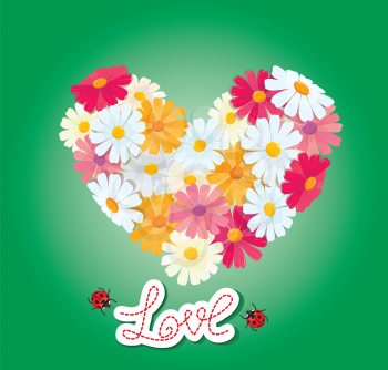 Heart is made of daisies on a green background. Valentines day card. 