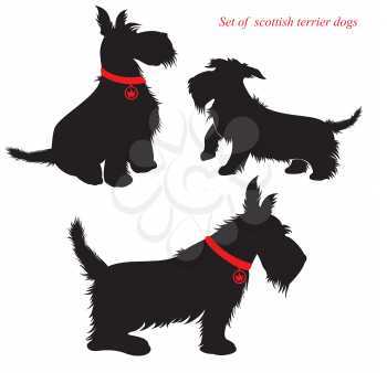 Set of of scottish terrier dogs silhouettes