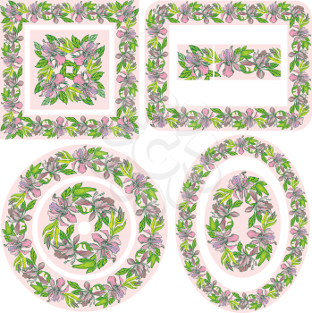 Set of different patterns and borders - square, rectangular, round, oval frames - with hand drawn orchid flowers.