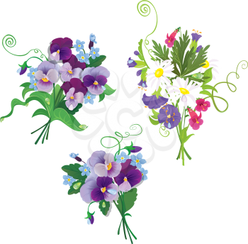 Set of holidays bouquets with chamomiles, pansies and forget me not flowers isolated on white background. Elements for holiday design.
