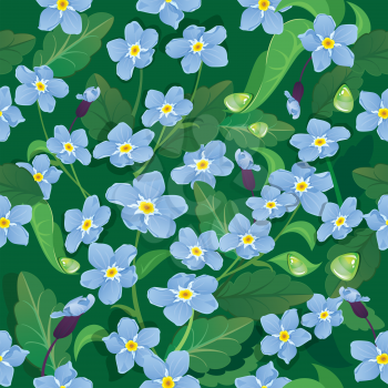 Seamless pattern with beautiful flowers - forget me not - floral nature background.