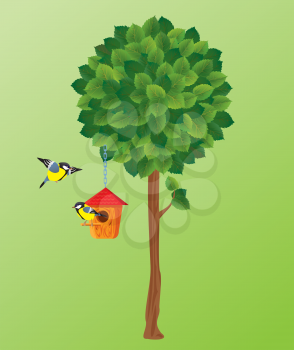 illustration of green tree, tit birds and nesting box.