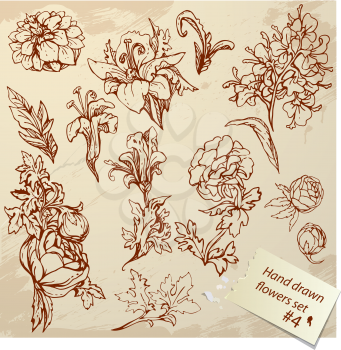 Set of Vintage Realistic graphic flowers - hand drawn images 