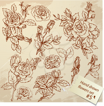Set of Vintage Realistic graphic flowers - roses - hand drawn images 