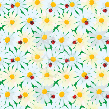 Seamless pattern with chamomile flowers and ladybirds, summer background