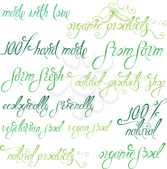 Collection of delicious vegetables signs, elements, labels, hand drawn calligraphic phrases: 100% natural, eco, all organic, natural products, vegetarian food, hand made, etc. Set of lettering design.