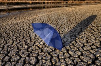 Dried up River Bed and umbrella