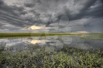 Slough pond and crop Saskatchewan Canada