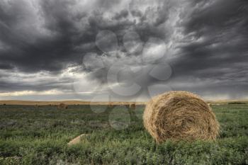 Hay Bale and Prairie Storm Alfalfa field