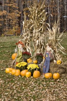 Halloween display Minnesota Pumpkin scarecrow corn maize
