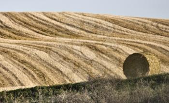 Hay Bale  against a newly swathed field