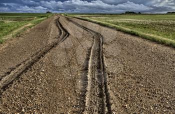 Mud Tire Tracks after a storm in the Canadian Prairies