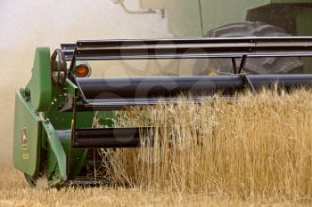 Close up combining wheat Saskatchewan Canada
