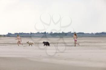 Girls and dogs running along lake shore