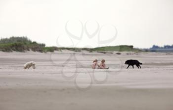Girls and dogs along lake shore