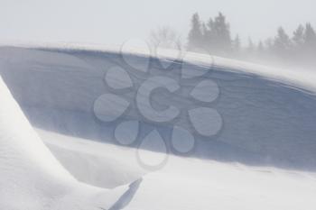 Snow Bank in Winter Storm Saskatchewan