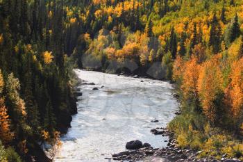 Autumn colored trees along mountain river in British Columbia