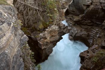 Gorge at Athabasca Falls in Jasper National Park