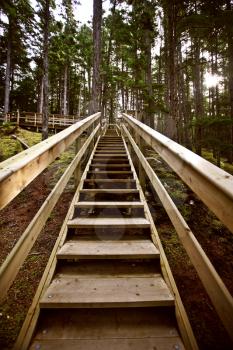 Wooden stairs  at Kitsumkalum Provincial Park