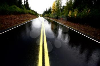 Wet Cassiar Highway through Northern British Columbia