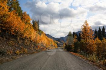 Autumn colors along British Columbia road