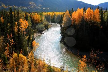 Autumn colors along Northern British Columbia river