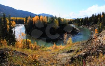 Autumn colors along Northern British Columbia river
