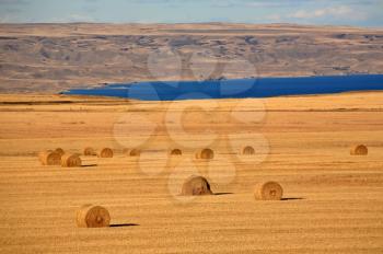 Straw bales with Lake Diefenbaker in background